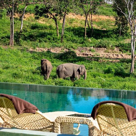 Wild Cottages Elephant Sanctuary Resort Amphoe Koksamui Dış mekan fotoğraf