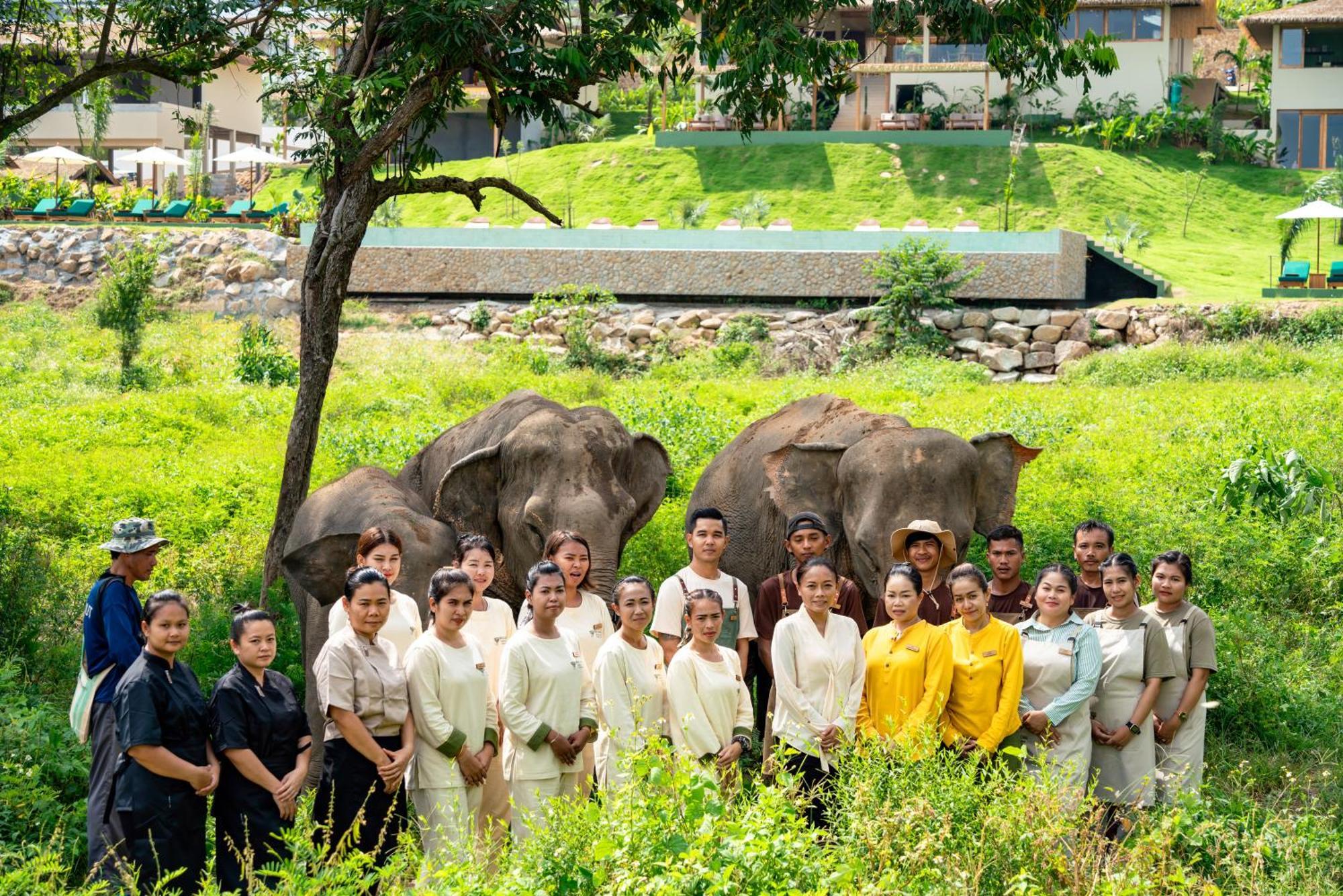 Wild Cottages Elephant Sanctuary Resort Amphoe Koksamui Dış mekan fotoğraf
