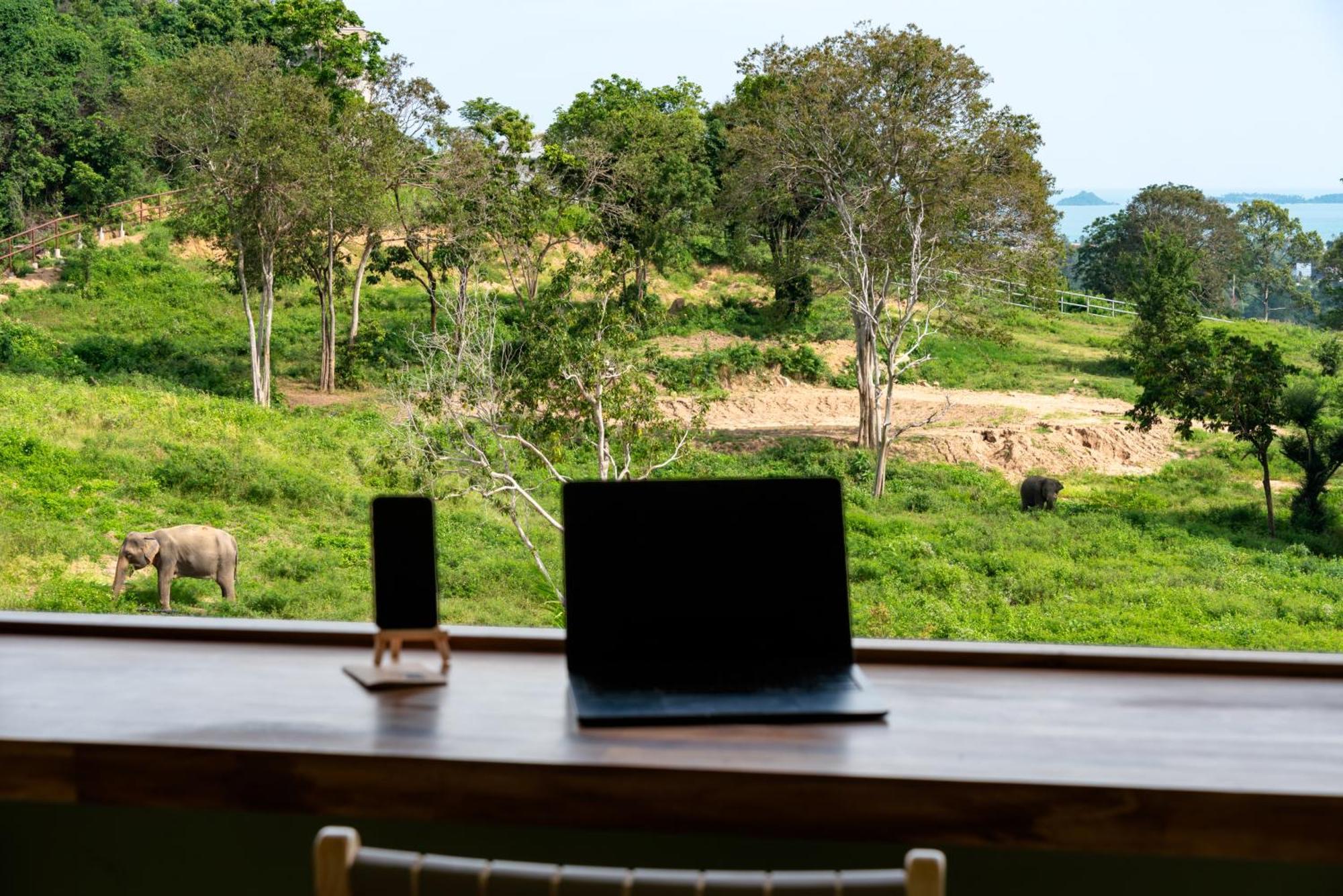 Wild Cottages Elephant Sanctuary Resort Amphoe Koksamui Dış mekan fotoğraf