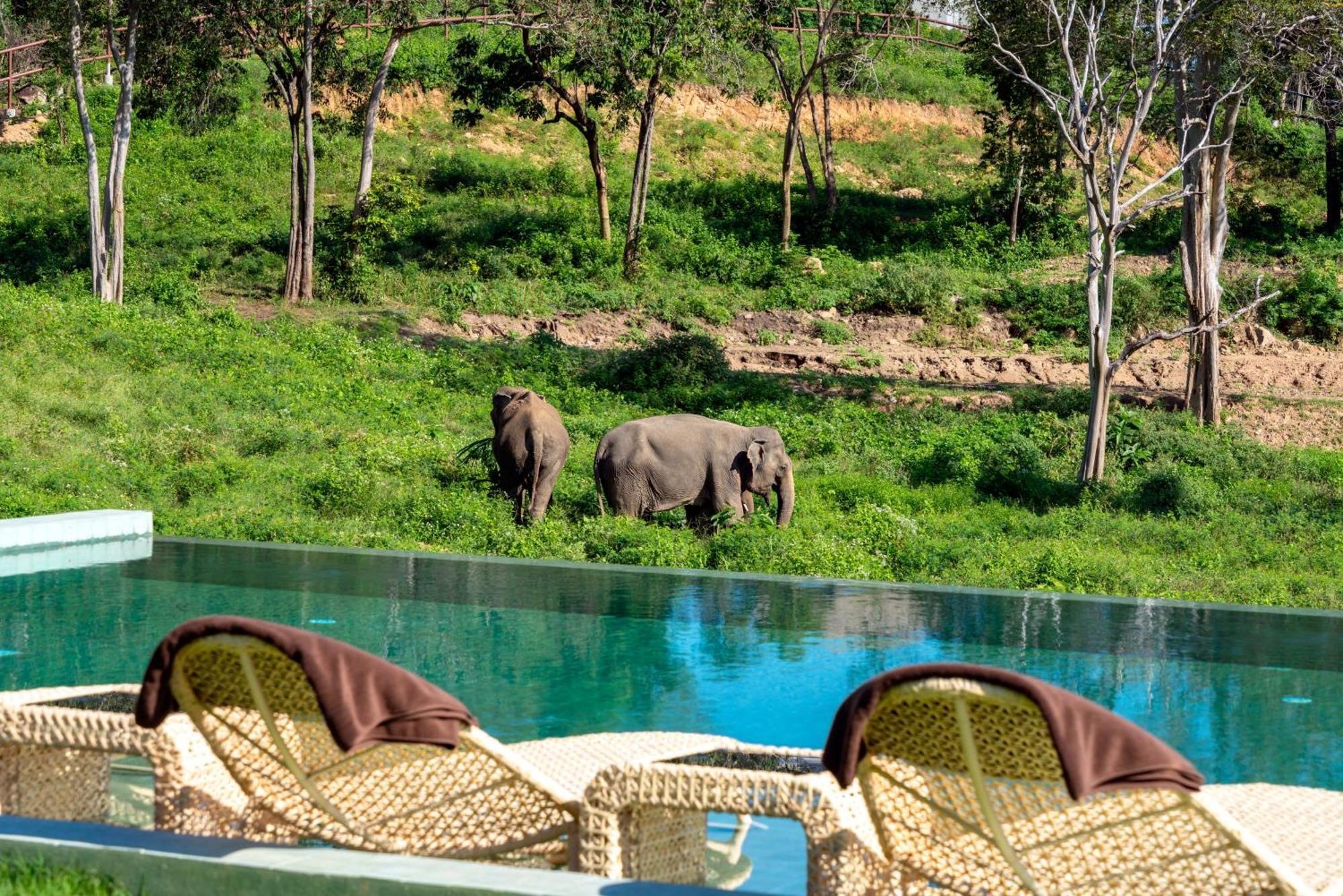 Wild Cottages Elephant Sanctuary Resort Amphoe Koksamui Dış mekan fotoğraf