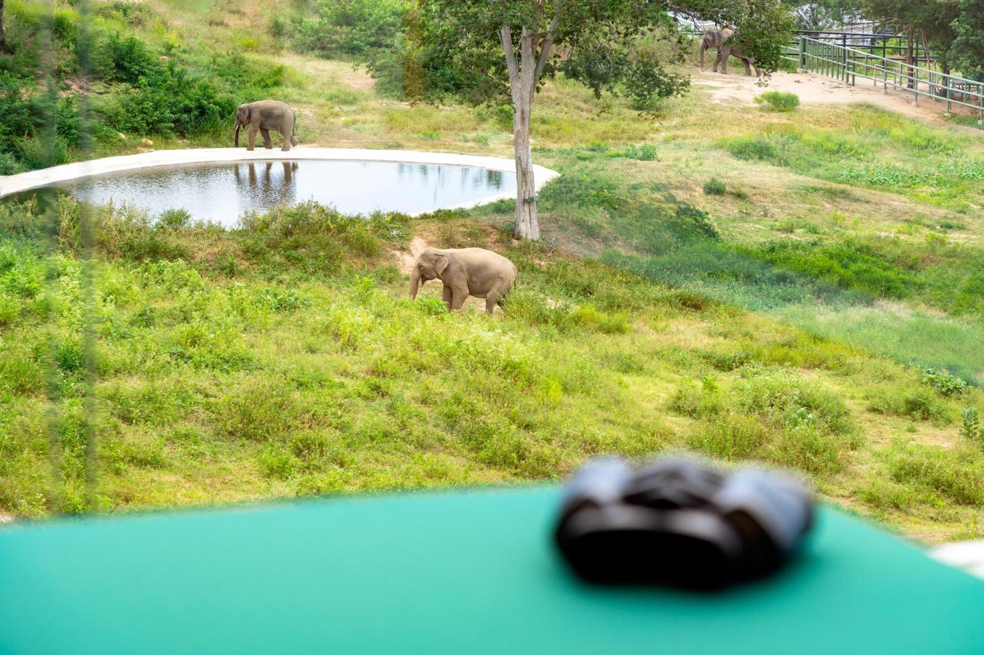 Wild Cottages Elephant Sanctuary Resort Amphoe Koksamui Dış mekan fotoğraf