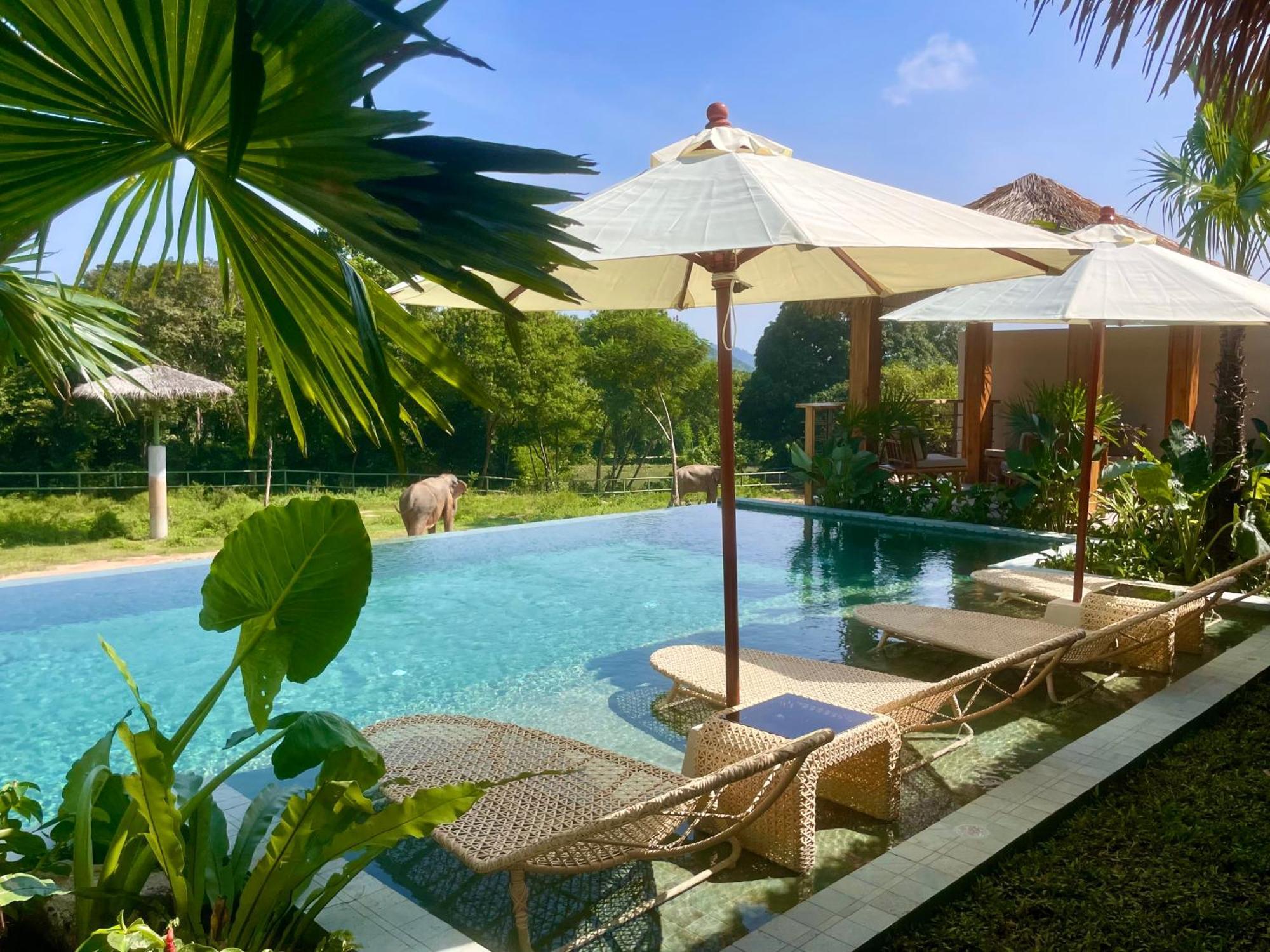 Wild Cottages Elephant Sanctuary Resort Amphoe Koksamui Dış mekan fotoğraf