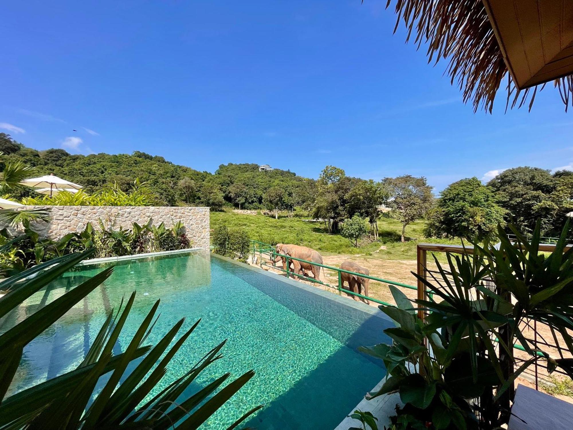 Wild Cottages Elephant Sanctuary Resort Amphoe Koksamui Dış mekan fotoğraf