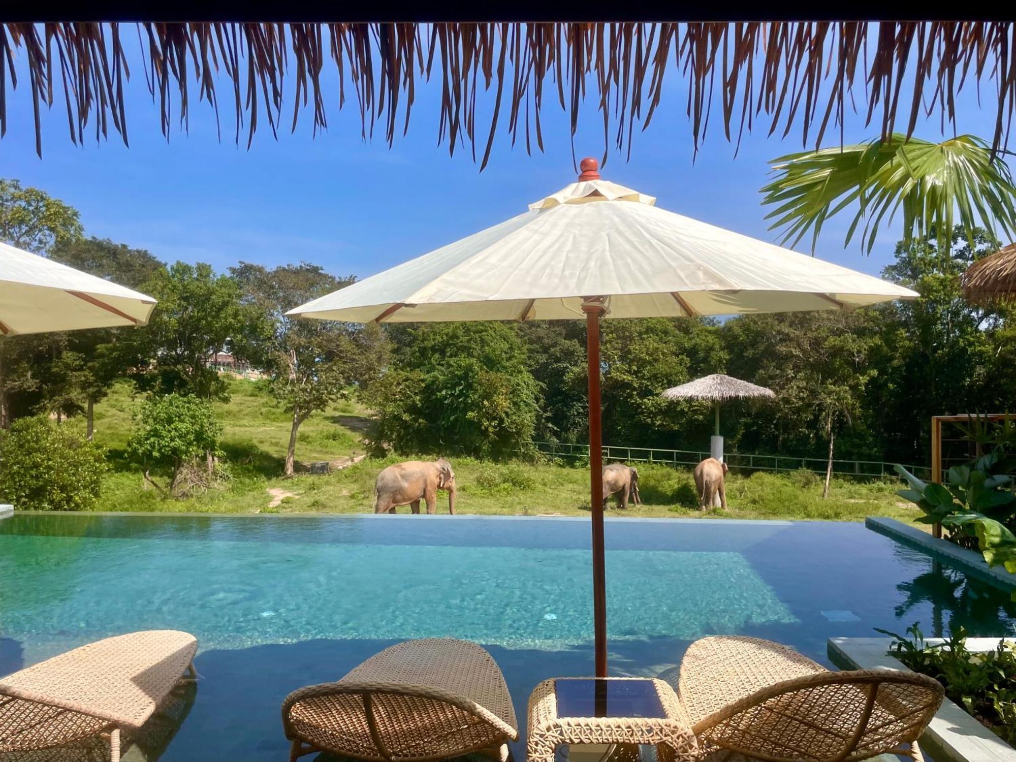 Wild Cottages Elephant Sanctuary Resort Amphoe Koksamui Dış mekan fotoğraf